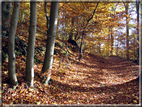 foto Parco Wilhelmshöhe in Autunno